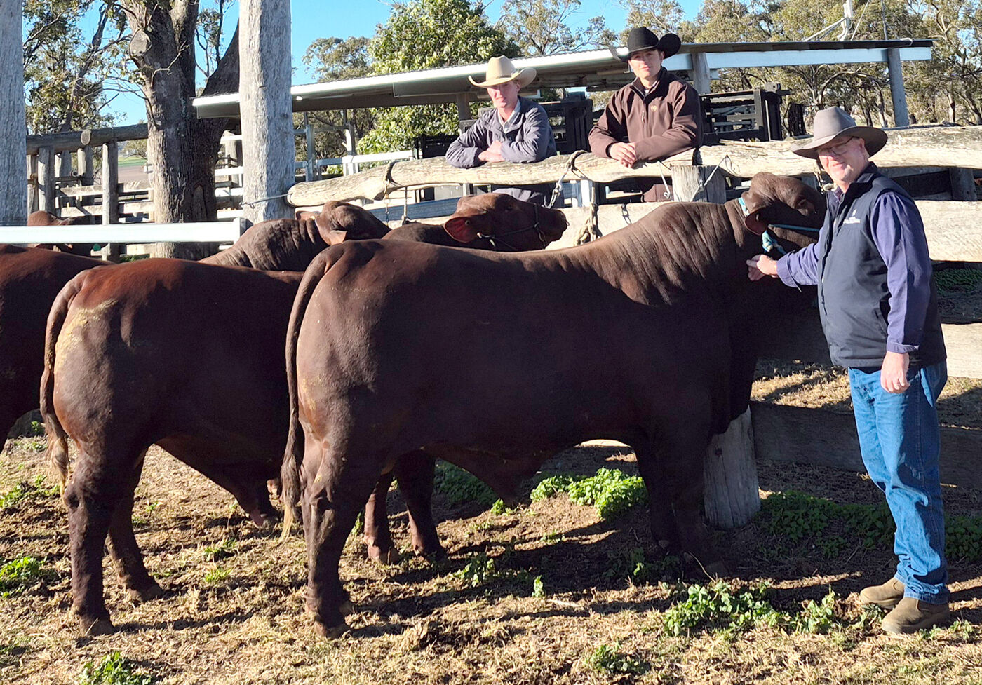 NIOA King Ranch pic