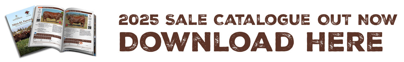 NSG Web Catalogue out now Call Out WHT