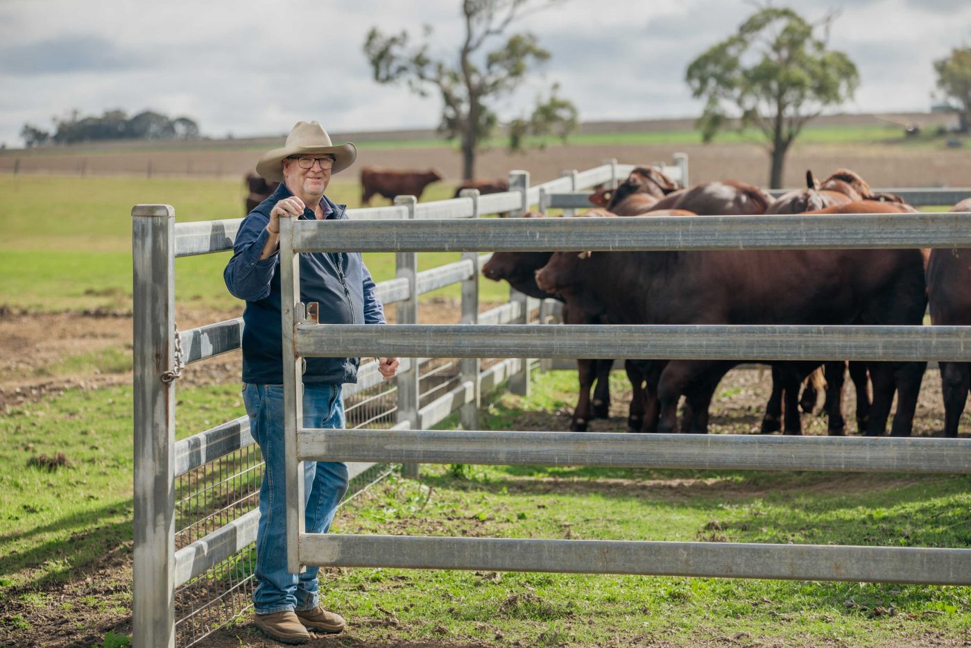 NIOA RL 2026 Sale catalogue pic