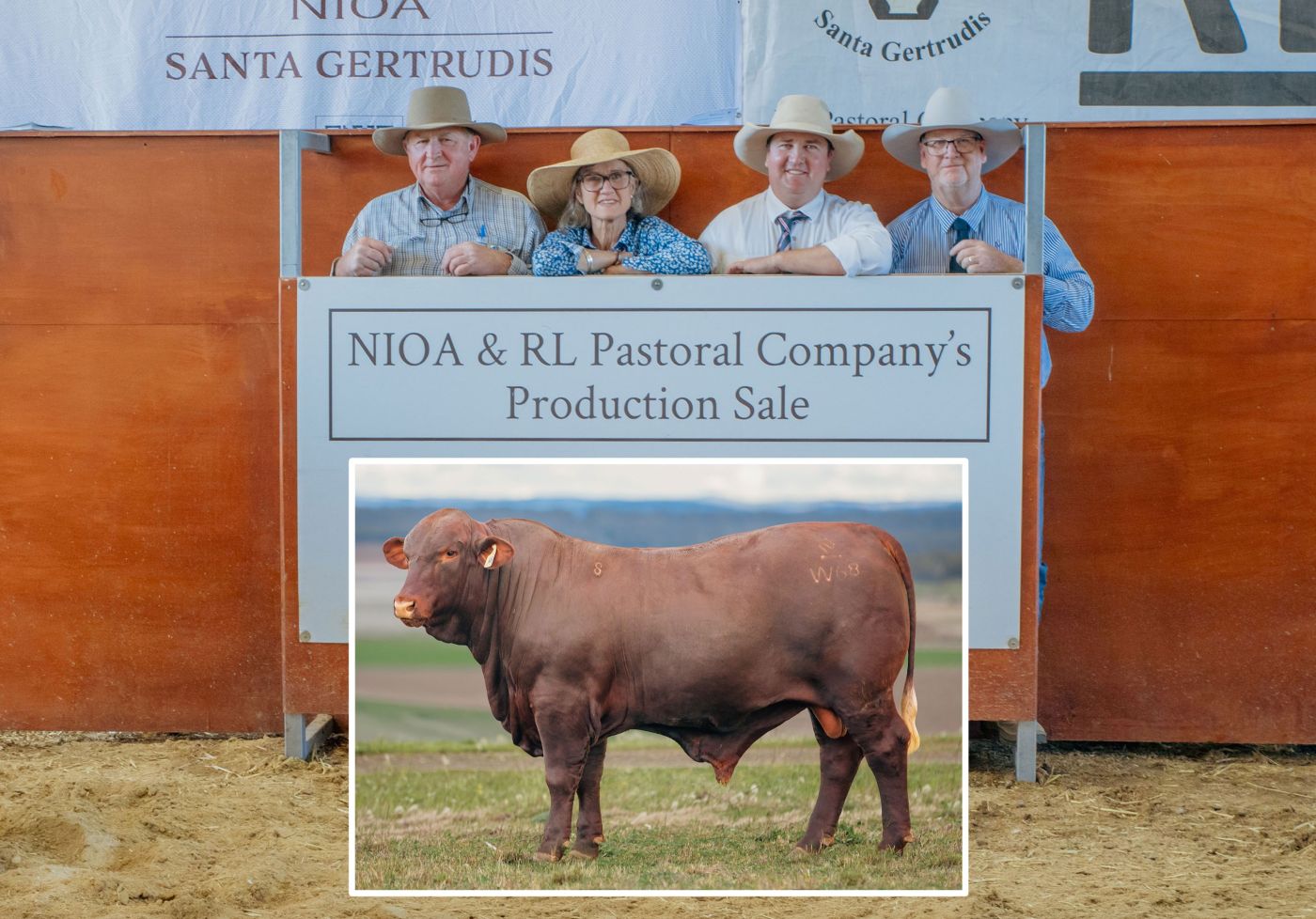 NIOA RL Pastoral salewrap26 pic