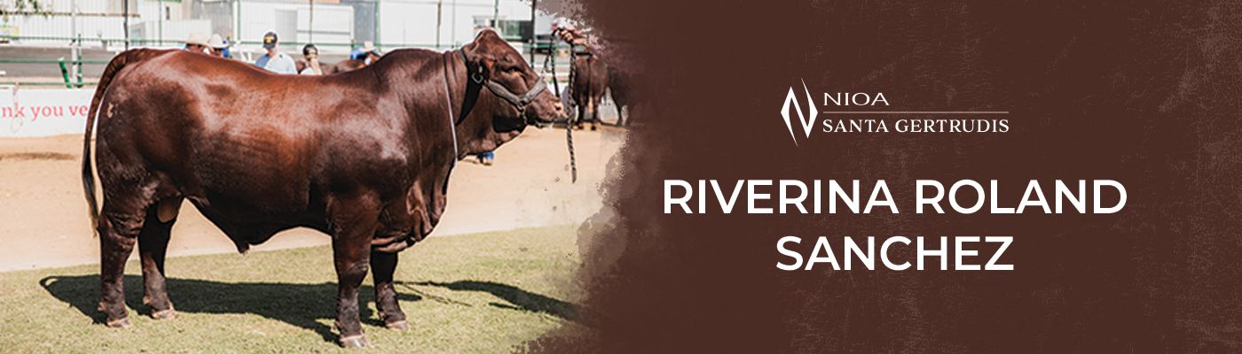 Riverina Roland Sanchez Desktop