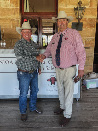 NIOA Pastoral NIOA RL salewrap pic