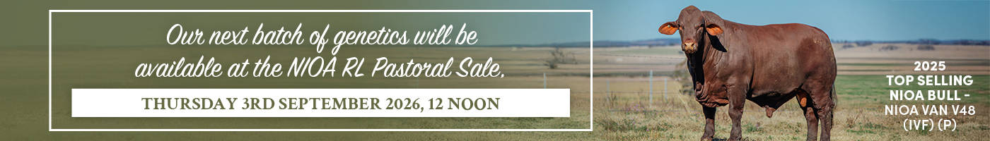 2026 Sale Banner DESKTOP 3