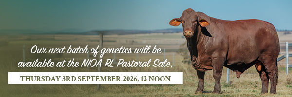 2026 Sale Banner MOBILE 3