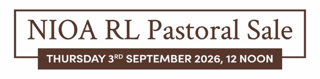 NIOA RL Sale 2026w time Medium