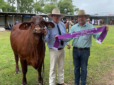 Murwillumbah Sub Feature