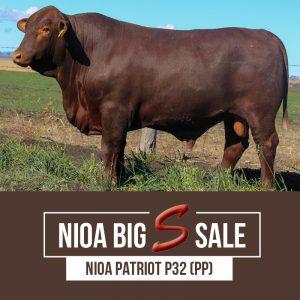 NIOA PATRIOT P32 PP 300x300